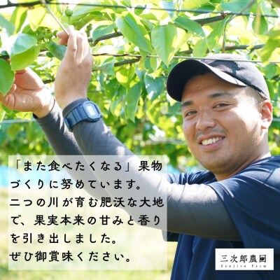 先行受付 和梨 あきづき 約5kg 令和8年度 新潟県三条市産 三次郎農園 【015S204】