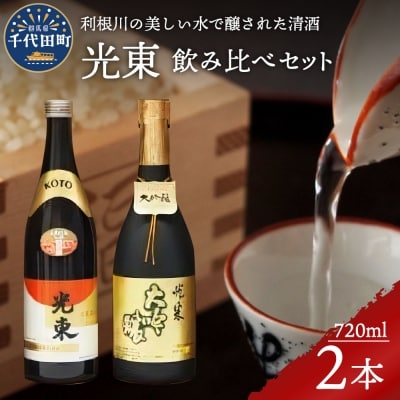 日本酒 大吟醸 清酒 【光東】 地酒 セット  <山川酒造> ch007-001rr