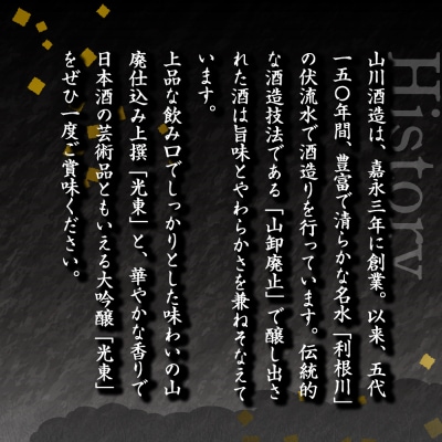 日本酒 大吟醸 清酒 【光東】 地酒 セット  <山川酒造> ch007-001rr
