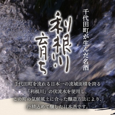 日本酒 清酒 【利根川育ち】 地酒 セット  <山川酒造> ch007-002rr