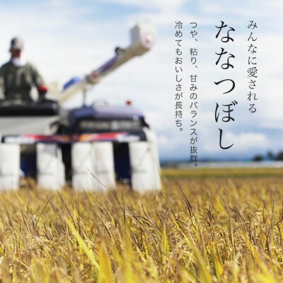 ななつぼし 10kg 令和7年産 