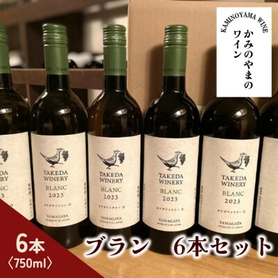 【タケダワイナリー】ブラン　6本セット　0147-2602