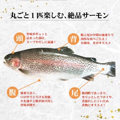 【ふるさと納税】清らかな水と寒暖差の大きな山地の気候で大切に育てられた「奥日向サーモン」魚 海鮮 