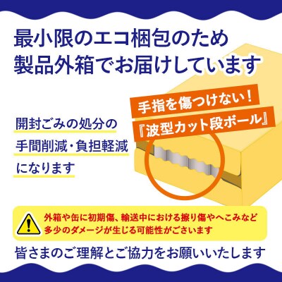 【定期便8ヶ月】サントリー オールフリー 1ケース(350ml×24本)|13_snt-062408