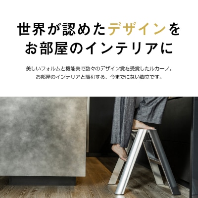 デザイン 踏台 【ルカーノ】2ステップ ML2.0-2J(SI)シルバー　ch012-004s