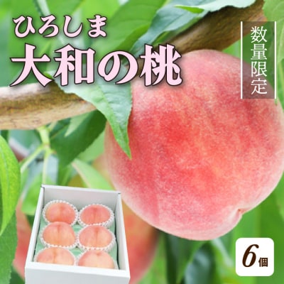 【先行受付】部谷桃園 ひろしま大和の桃 6個セット [067-001]