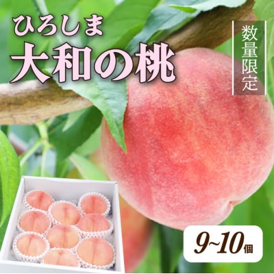【先行受付】部谷桃園 ひろしま大和の桃 9～10個セット [067-002]