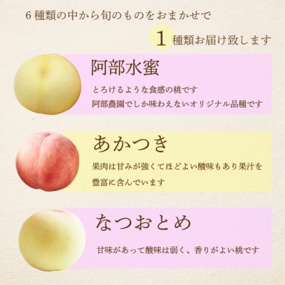 阿部農園 おまかせ 桃 約1.3kg 《2026年7月中旬から順次発送》 フルーツ[216-001]