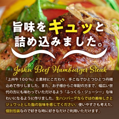 牛肉 ハンバーグ (180g×15個)手こね 上州牛100% ch013-001rrr