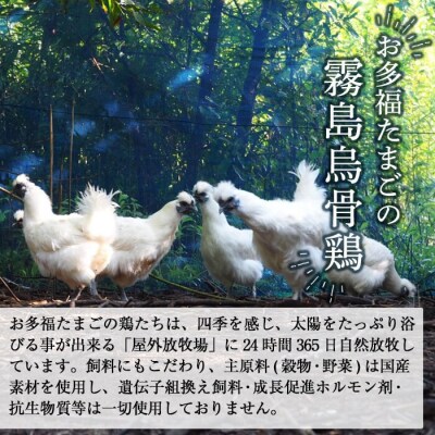 ＜通常便＞オーガニック烏骨鶏卵「霧島烏骨鶏」(計12個)【お多福たまご】K-331-A