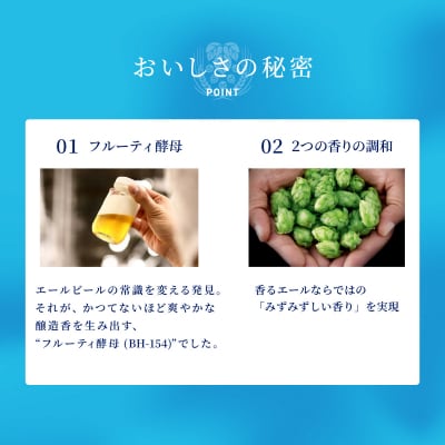 【月替わり6回定期便】プレモル 香るエール 2種 350ml 24本 ch016-006rz