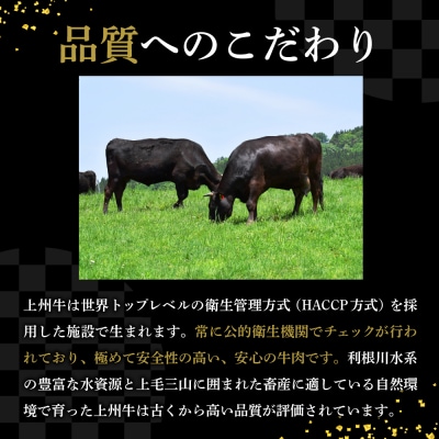 牛肉 サーロイン 上州牛 約1.2kg (約200g×6枚)  ch013-040a005r