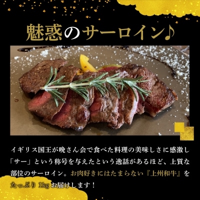牛肉 サーロイン 【上州和牛】 ブランド 牛 1kg (250g×4枚) ch013-070a001