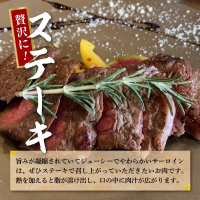牛肉 サーロイン 【上州和牛】 ブランド 牛 1kg (250g×4枚) ch013-070a001