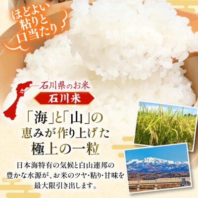 【12回 無洗米 定期便 】石川県産 こしひかり 5kg×12回 総計60kg [38601338]