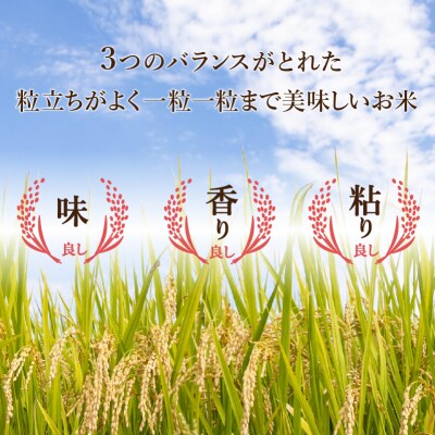 令和7年産 コシヒカリ 精米 10kg(5kg×2袋)冷めても美味しい小松市産のお米
