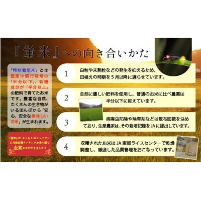 【令和7年産】 コシヒカリ 精米 蛍米 5kg 石川県 小松市 JA小松市