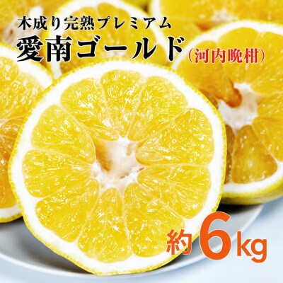愛南ゴールド ( 河内晩柑 ) 6kg 愛南町 青果市場 発送: 7月下旬～ (なくなり次第終了)