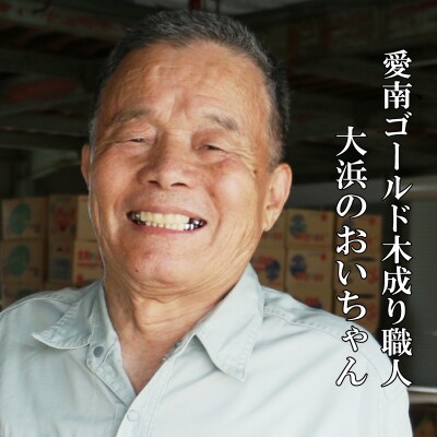 愛南ゴールド ( 河内晩柑 ) 6kg 愛南町 青果市場 発送: 7月下旬～ (なくなり次第終了)