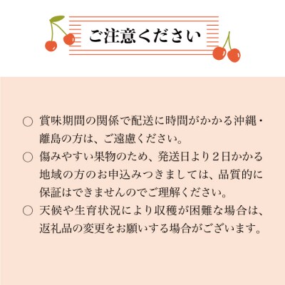 鮭川村産さくらんぼ <佐藤錦> 特秀Lサイズ以上バラ詰め 500g
