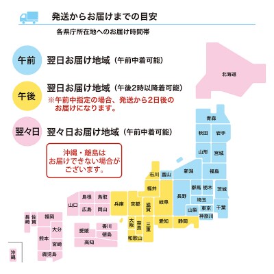 鮭川村産さくらんぼ <佐藤錦> 特秀Lサイズ以上バラ詰め 500g
