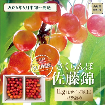 鮭川村産さくらんぼ <佐藤錦> L以上バラ詰め 1kg(500g×2P)