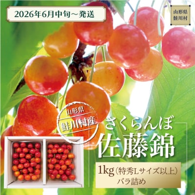鮭川村産さくらんぼ <佐藤錦> 特秀L以上バラ詰 1kg(500g×2P)