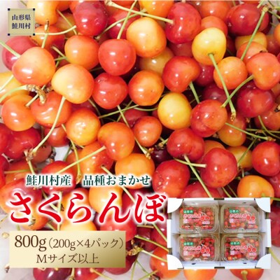 鮭川村産さくらんぼ <品種おまかせ> M以上800g(200g×4P)