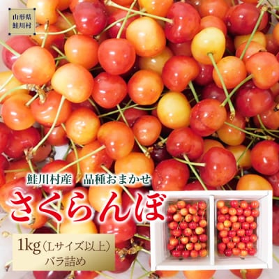鮭川村産さくらんぼ <品種おまかせ>L以上バラ詰 1kg(500g×2P)