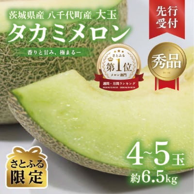 【先行受付6月上旬以降発送】茨城県産 タカミメロン 秀品 4-5玉 約6.5kg [AX064ya]