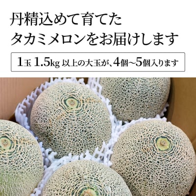 【先行受付6月上旬以降発送】茨城県産 タカミメロン 秀品 4-5玉 約6.5kg [AX064ya]