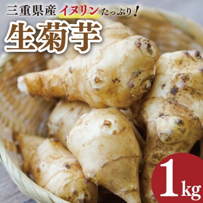 生 菊芋 1kg
