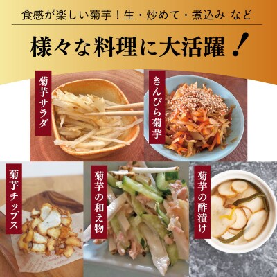 生 菊芋 1kg