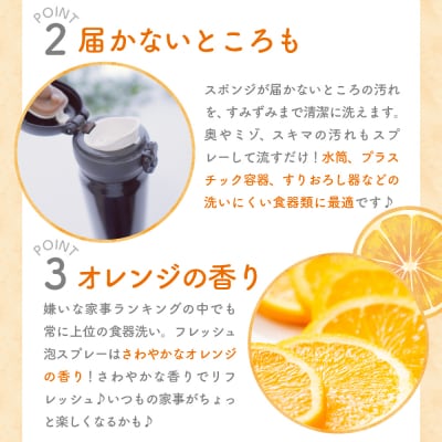 食器用洗剤 Fresh泡スプレー 本体 〈マルフクケミファ〉 ch024-010t020