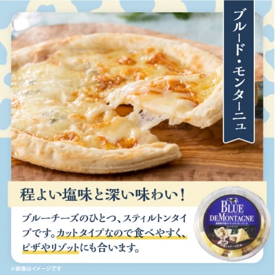 【おおともチーズ工房】《ワインとの相性抜群!!》濃厚ナチュラルチーズ3種セット_H0003-114