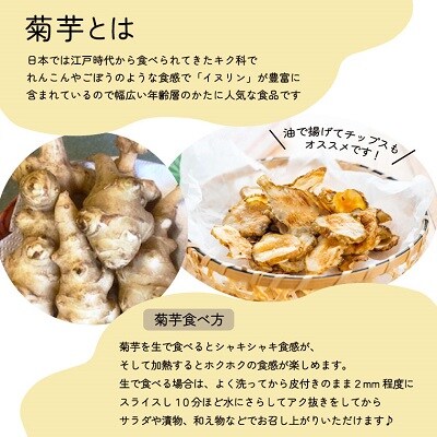 菊芋堀り 体験 (10kgまでお持ち帰りいただけます)