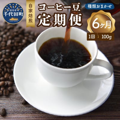 【6ヵ月定期便】自家焙煎コーヒー豆 100g×6ヵ月 種類おまかせ ch029-009
