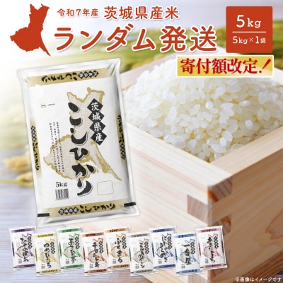 ランダム 5kg 〈令和8年6月内発送〉【令和7年産/白米】 米 精米 小分け  茨城県産