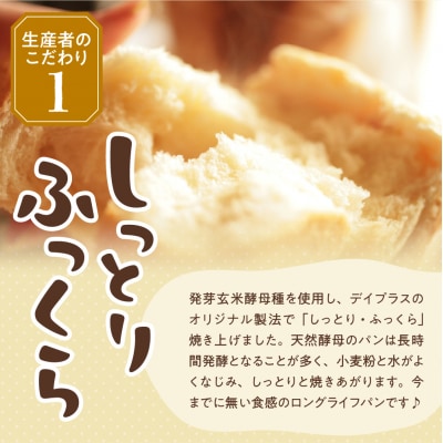 天然酵母パン 北海道クリーム・チョコレート(12個入り×2ケース) ch036-001