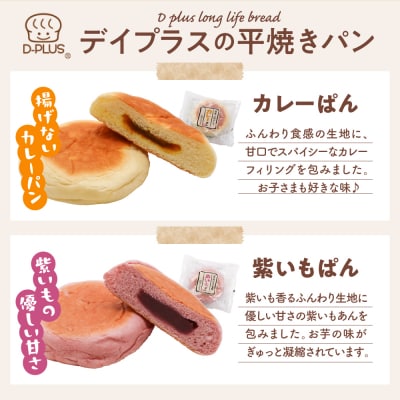 デイプラス平焼きパン カレー(12個入り×2ケース) ch036-004-02