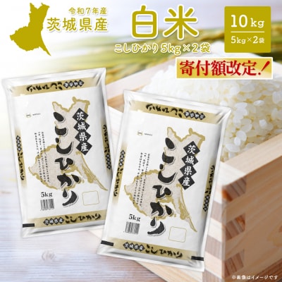 こしひかり 10kg (5kg×2袋) 令和8年6月内発送 【令和7年産/白米】茨城県産 米 小分け