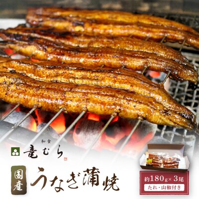 【炭火・職人手焼き】　国産うなぎ蒲焼　約180g×3尾・たれ・山椒　和食竜むら
