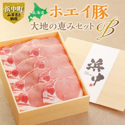 ホエイ豚ローススライス(生姜焼き用)　計1kg_H0010-100