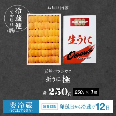 ≪プロ厳選≫最高級折うに(極)計250g_H0014-100