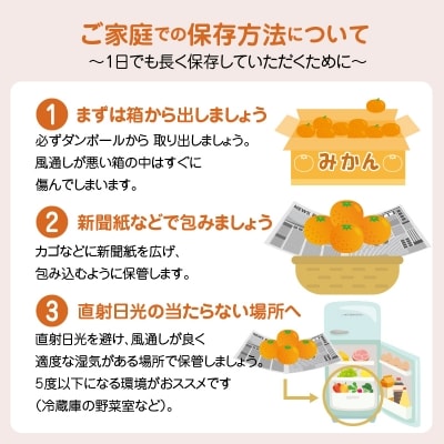 農家の手摘み不知火 約5kg 家庭用〈先行受付〉_S040-011A