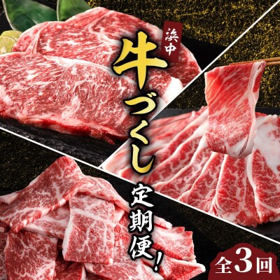<全3回・連続>浜中牛づくし定期便_H0019-109
