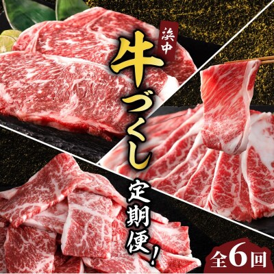 <全6回・連続>浜中牛づくし定期便_H0019-110