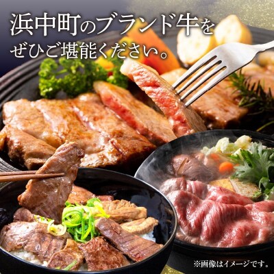 <全6回・連続>浜中牛づくし定期便_H0019-110