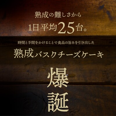 熟成と非熟成バスクチーズケーキ食べ比べセット_H0041-101