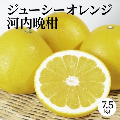 ジューシーオレンジ 7.5kg 河内晩柑(先行受付)_S053-001A